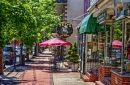 Street Cafe, Medford, New Jersey